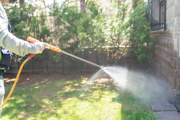 Insect Control in Ashley, PA